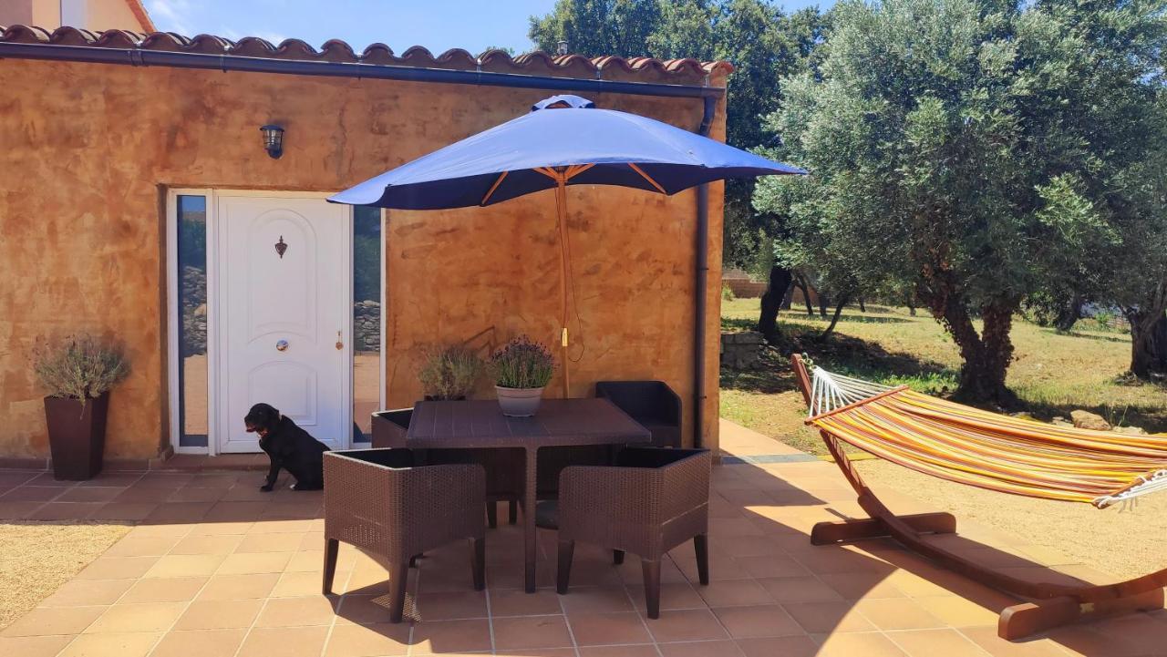 Can Costals Terraza 팔스 외부 사진
